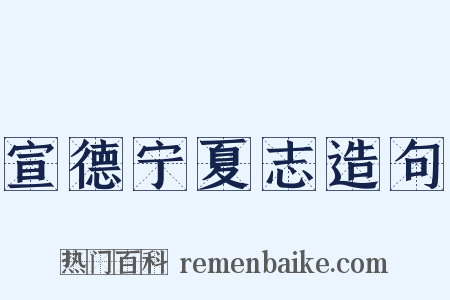 宣德宁夏志造句是什么意思的图片